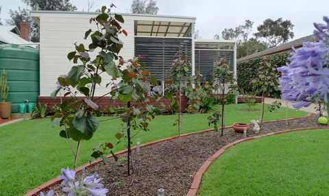 Grassmere House Magill - Australian Directory 19