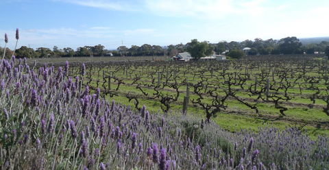 Grassmere House Magill - Australian Directory 25