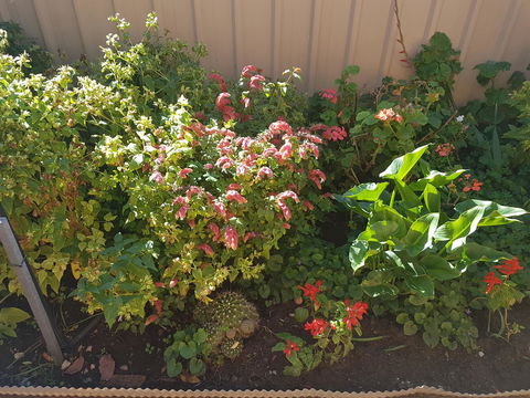 Tanunda\'s Magpie House - Australian Directory 24