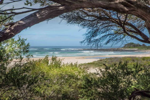 BIG4 Tasman Holiday Parks - Racecourse Beach - Australian Directory 7