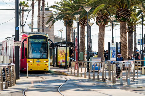 Luxury Beachside Accomodation - Australian Directory 24