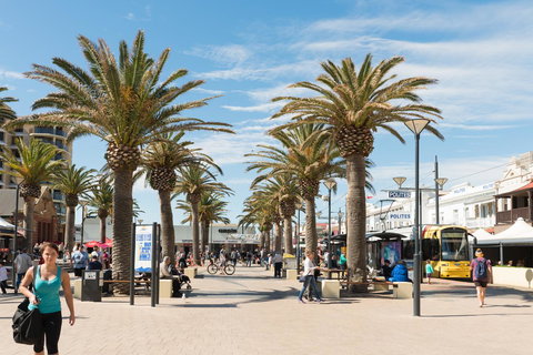 Luxury Beachside Accomodation - Australian Directory 16