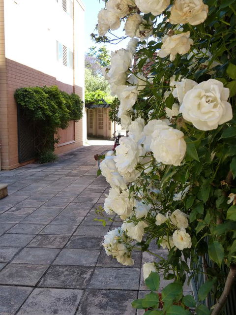 Monaco Court Apartment Adelaide - Australian Directory 19