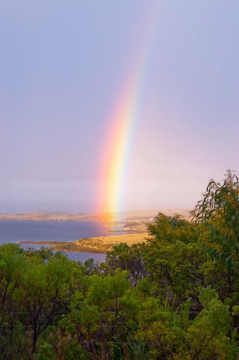 Kestrel Downs - Australian Directory 14