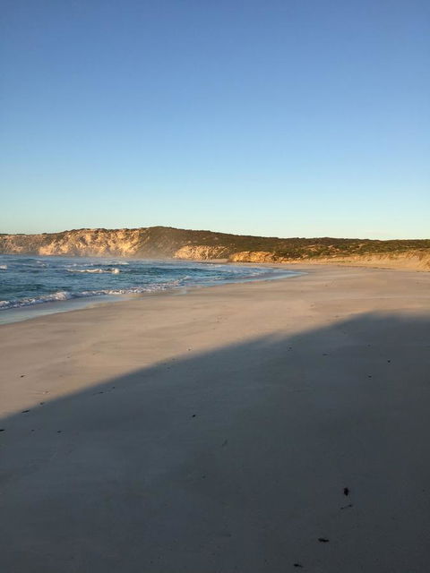 Kestrel Downs - Australian Directory 35