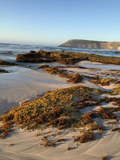 Kestrel Downs - Australian Directory 34