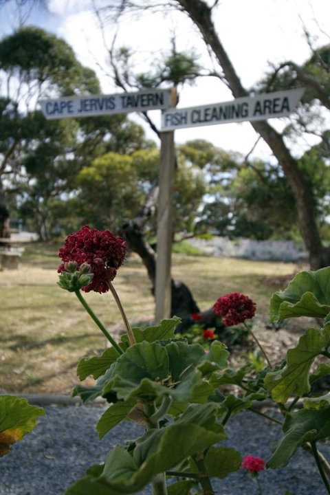 Cape Jervis Holiday Units - Australian Directory 13