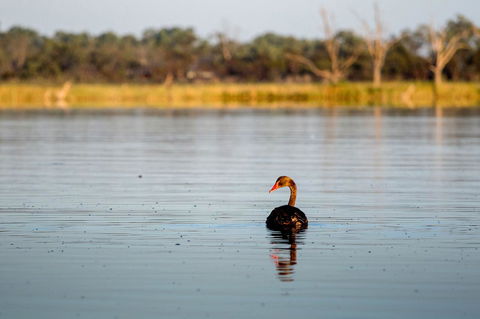 Discovery Parks - Lake Bonney - Australian Directory 36