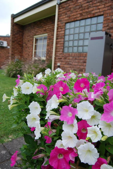 Arkana Motor Inn & Terrace Apartments - Australian Directory 40