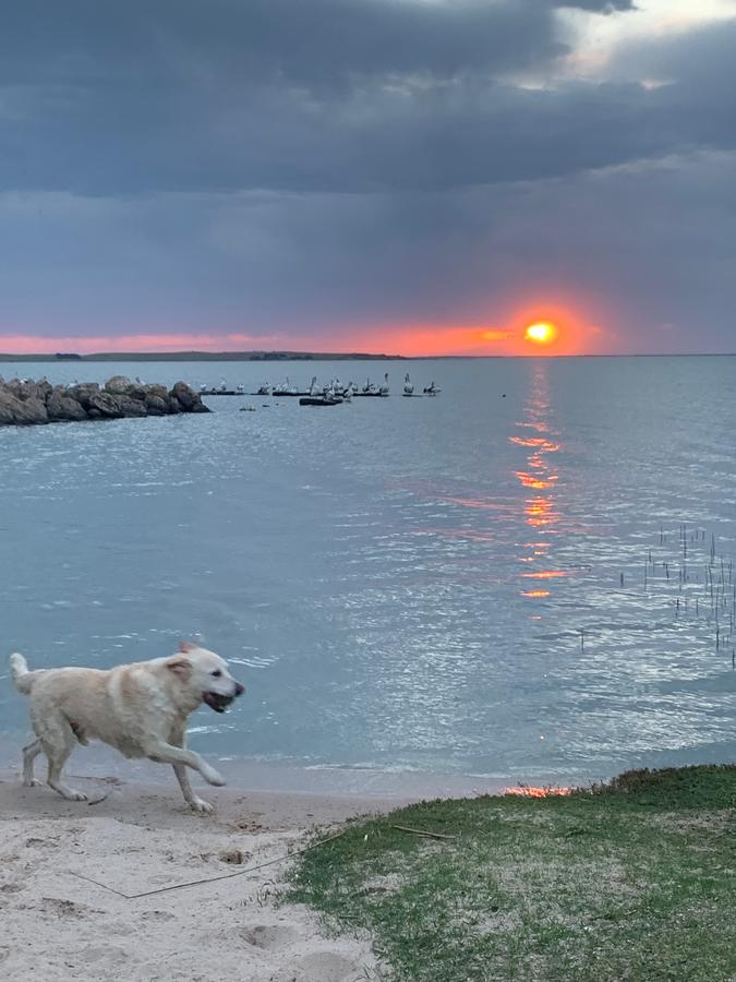 Waltowa SA Australian Directory