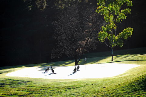 SkyView Villa - Australian Directory 3