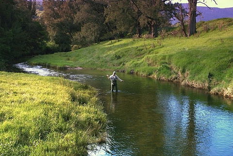 SkyView Villa - Australian Directory 17