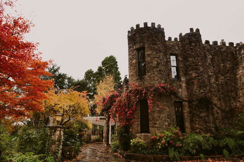 The Manor Basket Range - Australian Directory 15