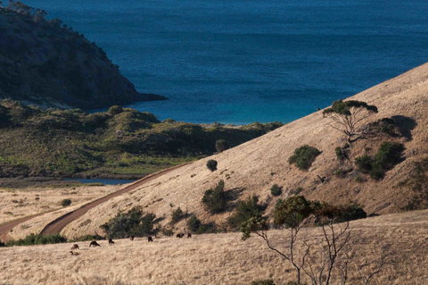 Admirals Inn - Australian Directory 44