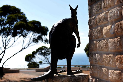 Admirals Inn - Australian Directory 12