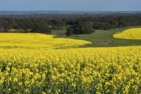 Admirals Inn - Australian Directory 41