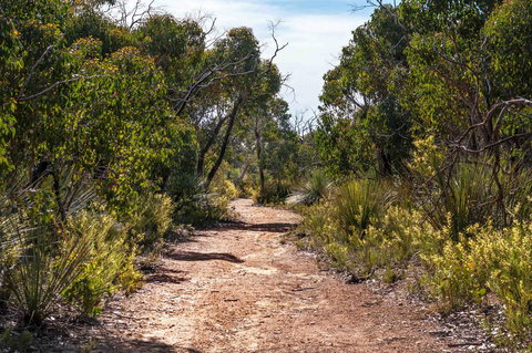 Admirals Inn - Australian Directory 35