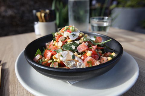 The Palms Apartments - Australian Directory 6