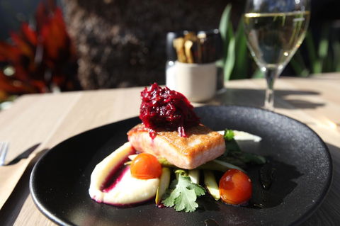 The Palms Apartments - Australian Directory 4