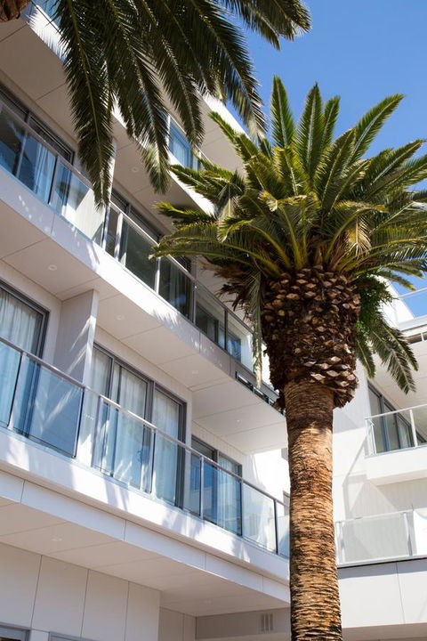 The Palms Apartments - Australian Directory 14