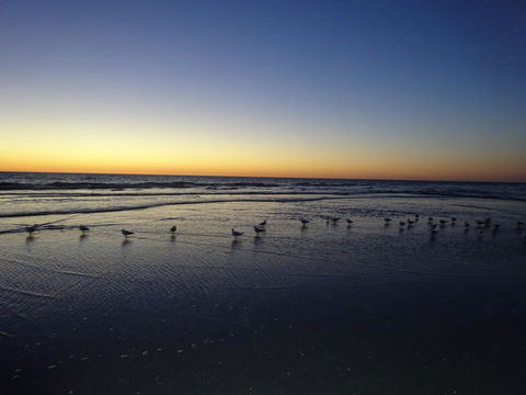 Selene Holiday Apartment @West Beach - Australian Directory 6