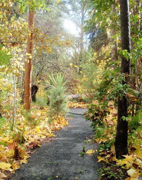 Aldgate Valley Bed And Breakfast - Australian Directory 43