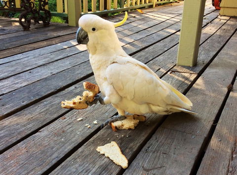 Aldgate Valley Bed And Breakfast - Australian Directory 40