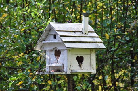 Aldgate Valley Bed And Breakfast - Australian Directory 37