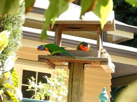 Aldgate Valley Bed And Breakfast - Australian Directory 42