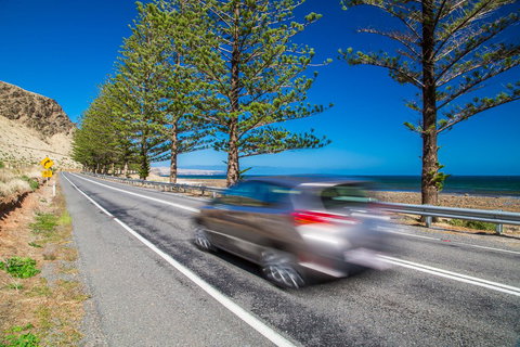 Lady Bay Hotel - Australian Directory 26