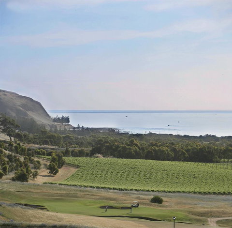 Lady Bay Hotel - Australian Directory 19