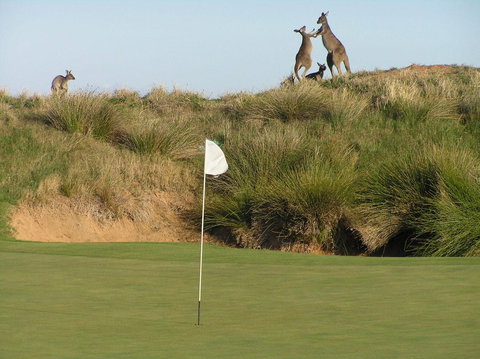 Lady Bay Hotel - Australian Directory 17