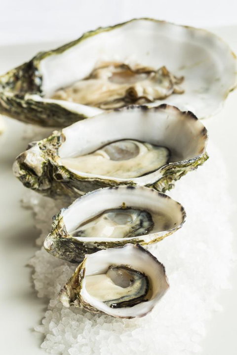 Port Lincoln Hotel - Australian Directory 29