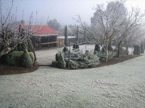 Vineyard Cottage BnB - Australian Directory 15