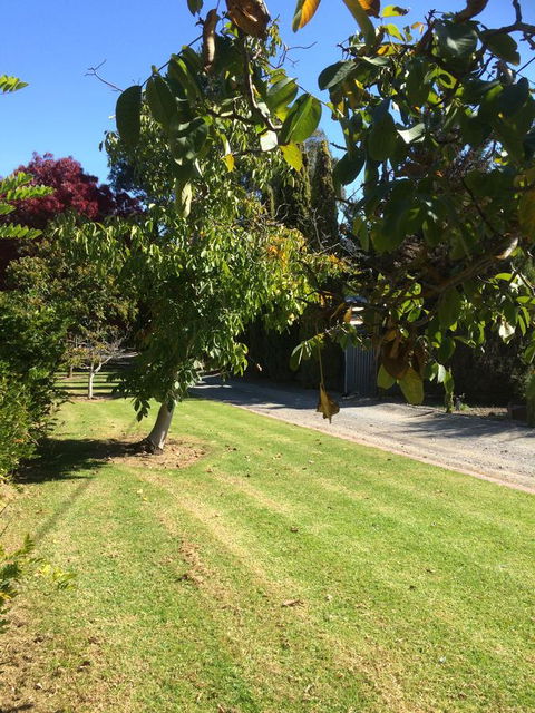 Vineyard Cottage BnB - Australian Directory 17