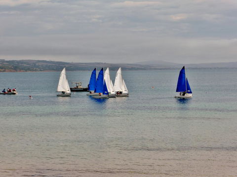 Hilton Beachfront Motel - Australian Directory 21