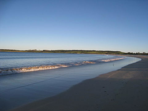 Pelicans Rest Shellharbour - Australian Directory 17