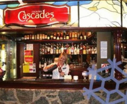 Snowy Gums Chalet - Australian Directory 10