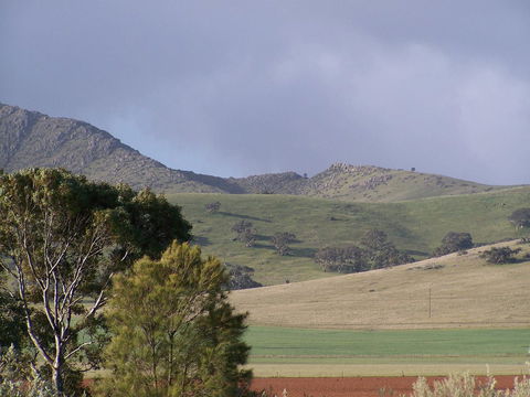 Burra Motor Inn - Australian Directory 32