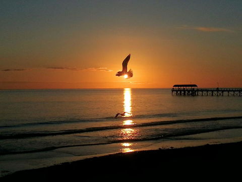 Adelaide Luxury Beach House - Australian Directory 37