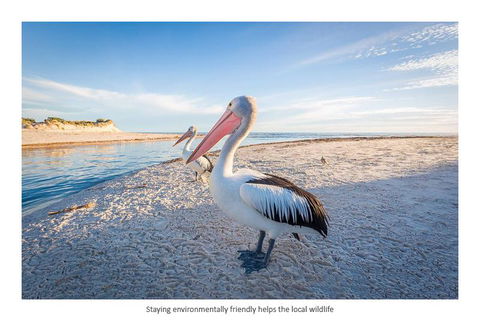 Adelaide Luxury Beach House - Australian Directory 25