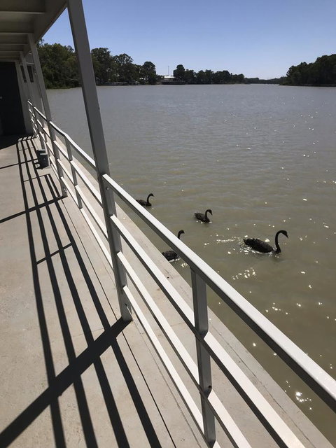 Murray River Queen - Australian Directory 7