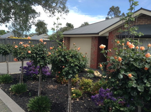 C And C Tanunda - Australian Directory 1