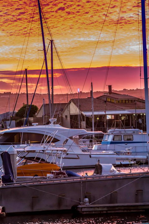 Marina Reflections - Australian Directory 19