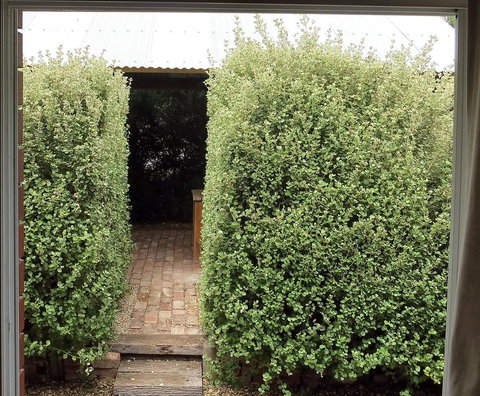 A2@Port Willy - Australian Directory 13