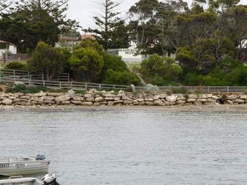 Island Motel Kingscote - Australian Directory 4