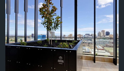 ONE Adelaide CBD - Australian Directory 33