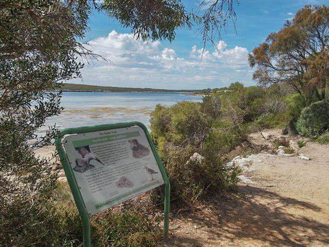 Willygunyah - Australian Directory 31