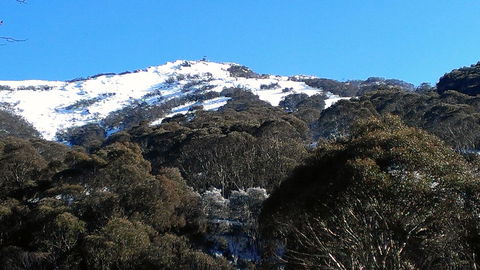 CHILL-OUT - Thredbo - Australian Directory 35