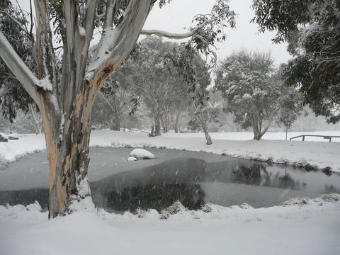 CHILL-OUT - Thredbo - Australian Directory 38